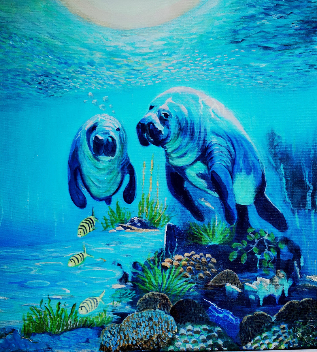 Save the Manatees