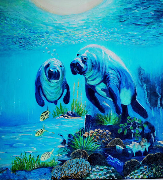 Save the Manatees